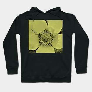 Glacier National Park, flower tint Hoodie